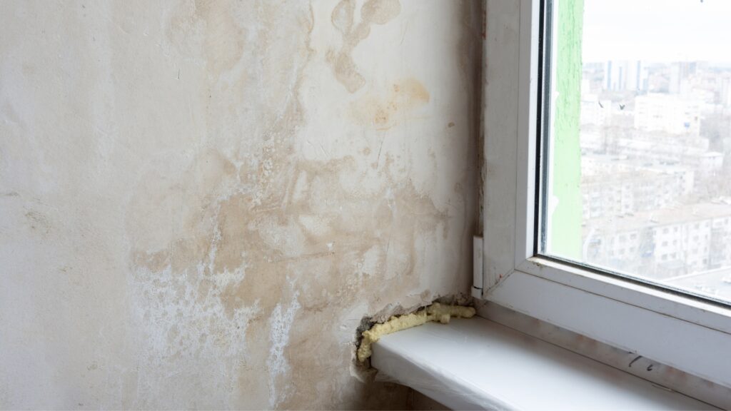 how to get rid of penetrating damp