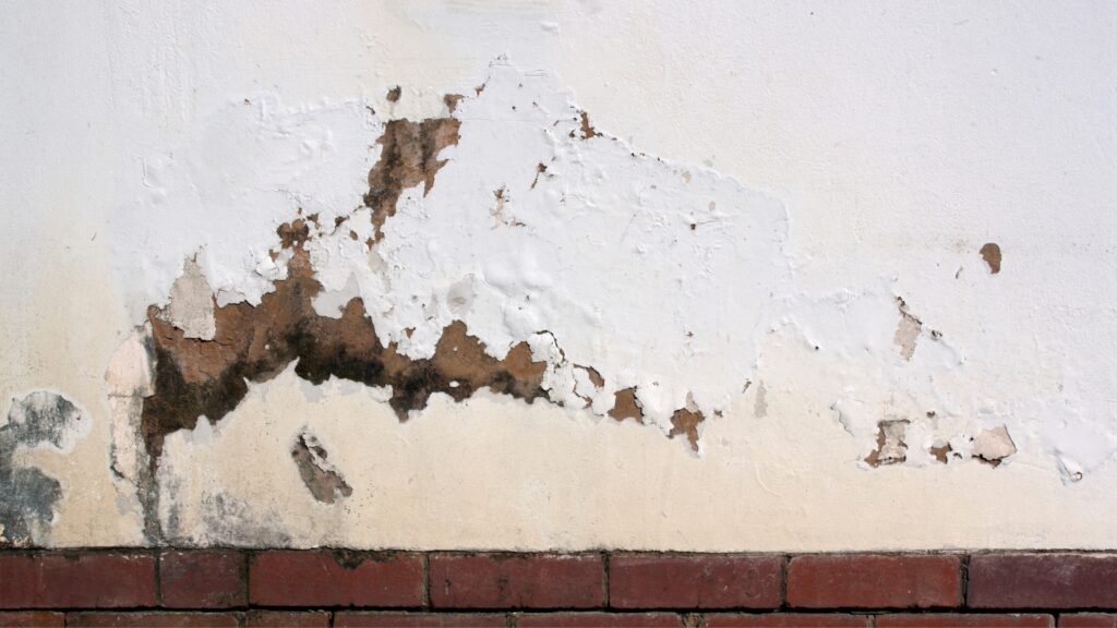 how to get rid of rising damp