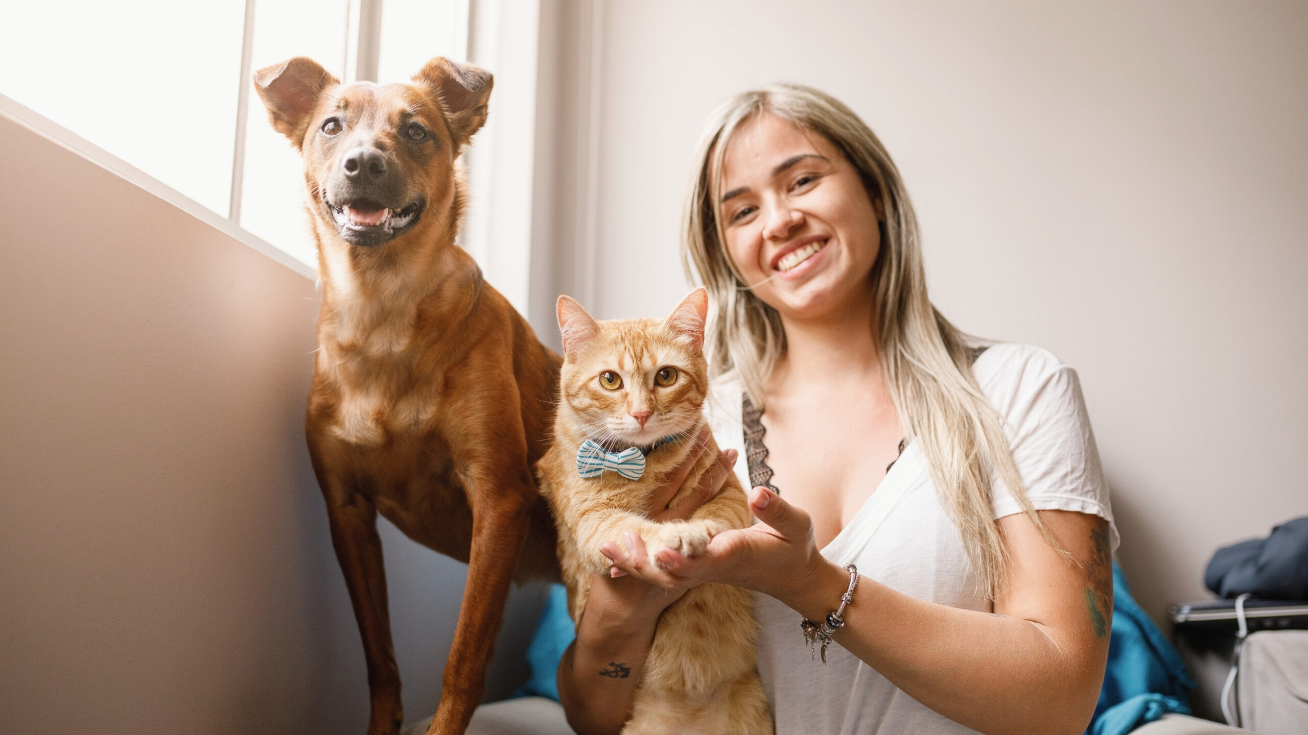 Pets in Rental Properties What Every Landlord Should Know