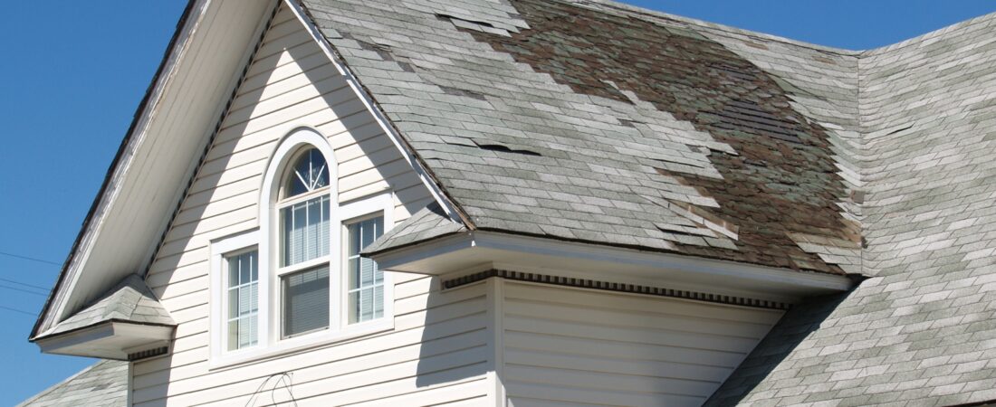 awaab's law for private landlords and the private rented sector